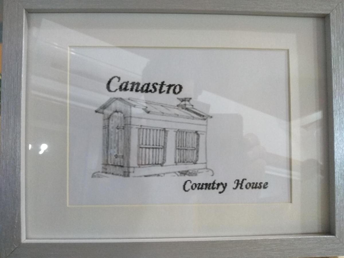 Canastro Country House Castelo de Paiva Dış mekan fotoğraf